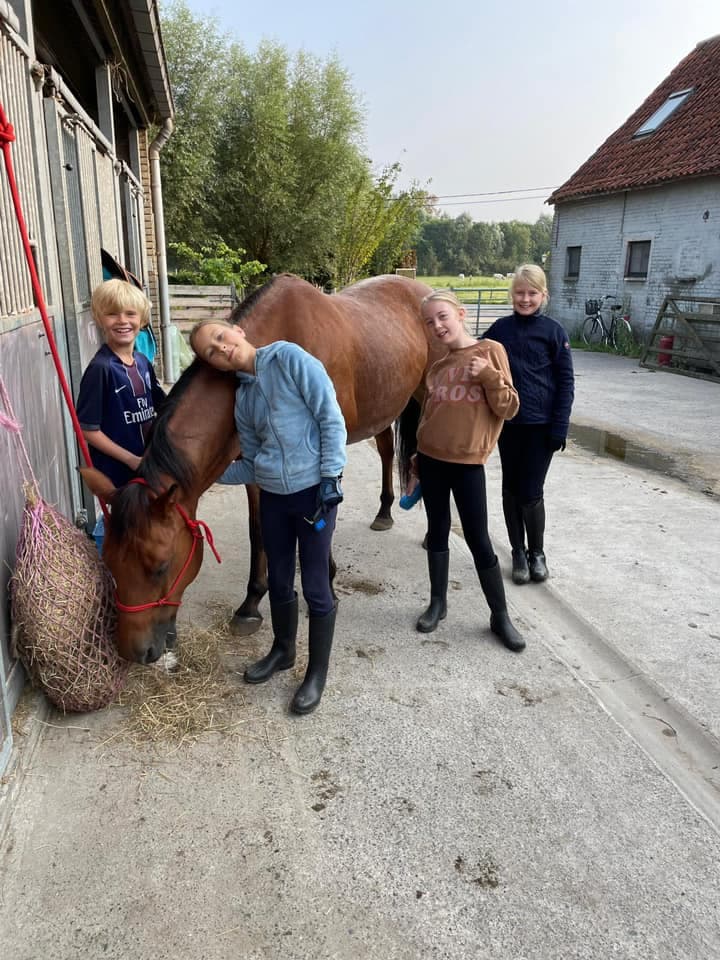 Kinderen met pony