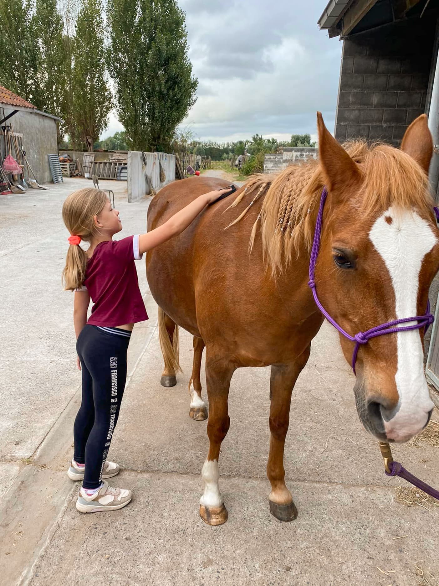 Drie kinderen te paard in de zandpiste, onder een treurwilg.